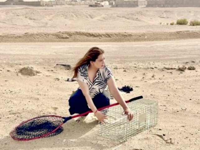 Khaleej Times Animal Dump